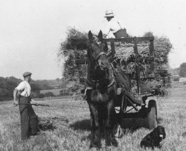 Harvest 1930s